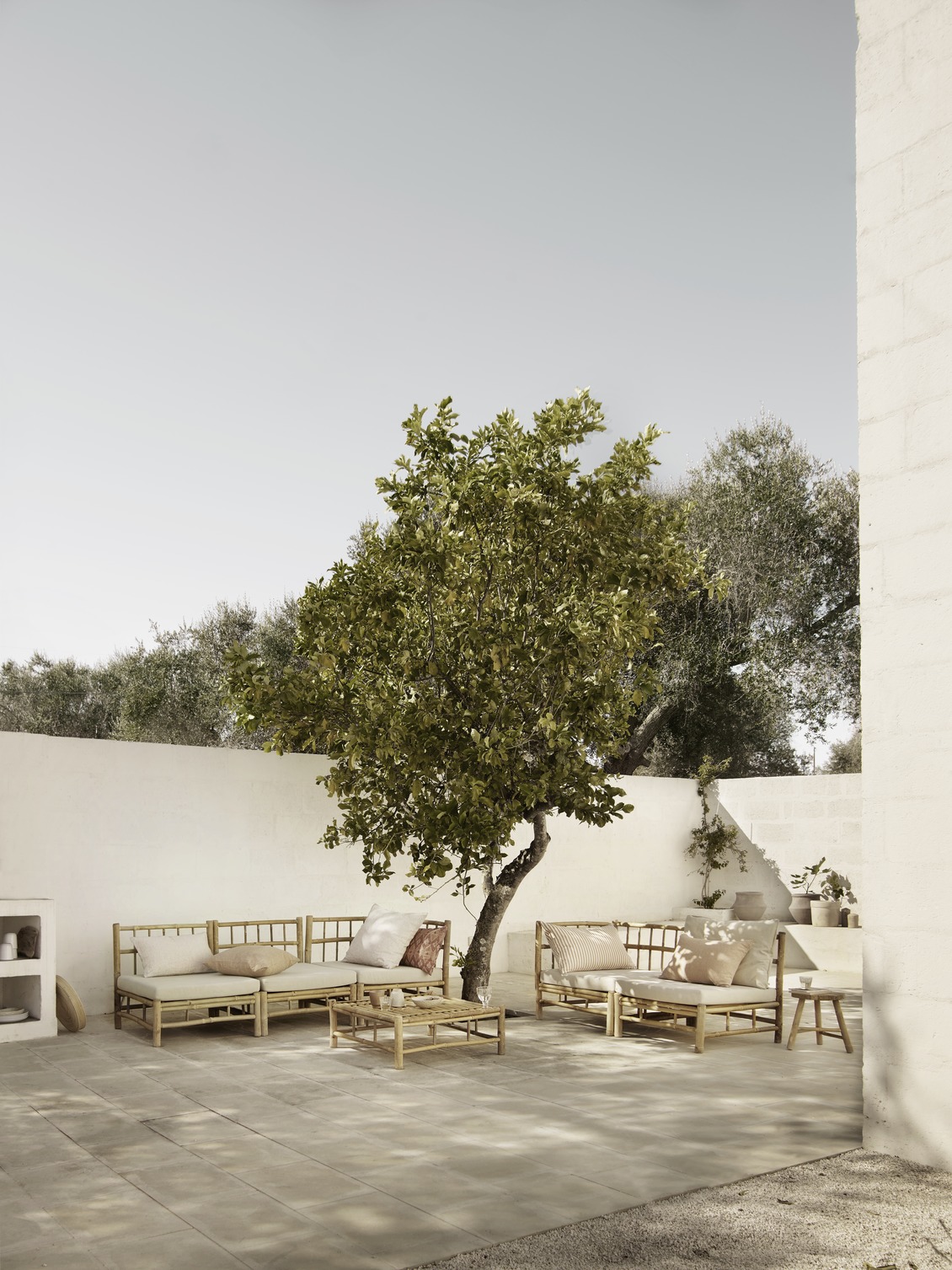 chaise-yao-frene-bois-brut